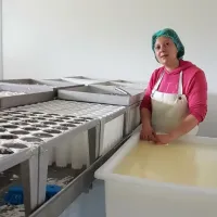 Lucie